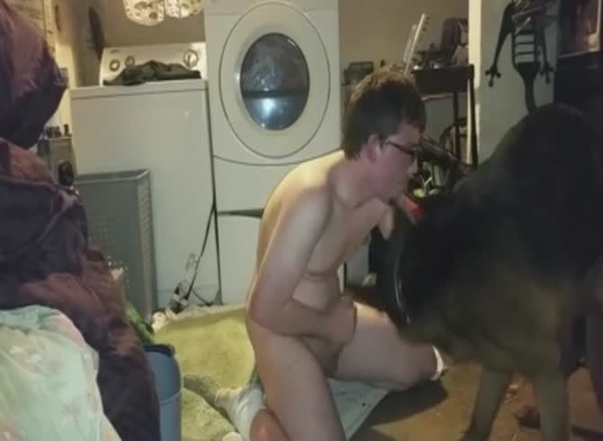 Video :Gay sucking dog dick while jacking of his dick